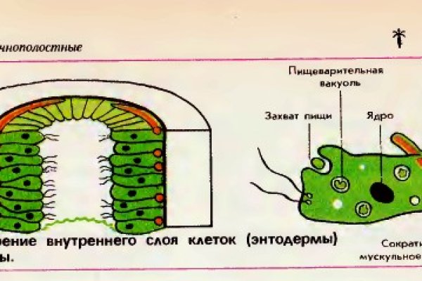 Почему не закрыт сайт кракен