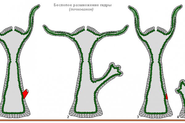 Рабочий кракен