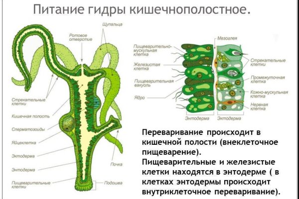 Кракен ссылка стор