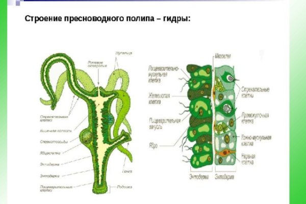 2krn cc кракен